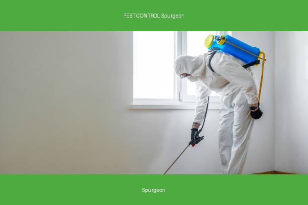 PEST CONTROL Spurgeon